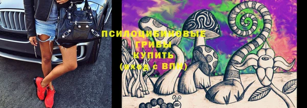метамфетамин Каменка