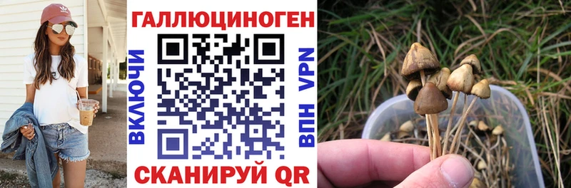 Галлюциногенные грибы мицелий  Саянск 